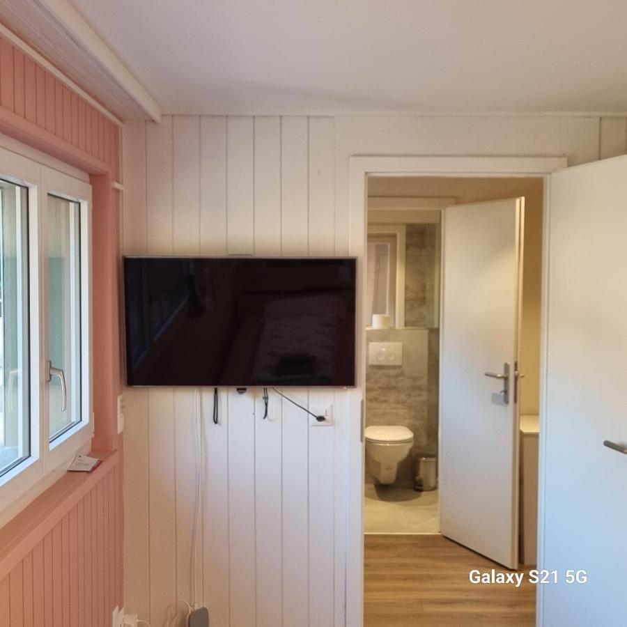 Mountain - Lake Apartment 3 Wilderswil Exterior foto